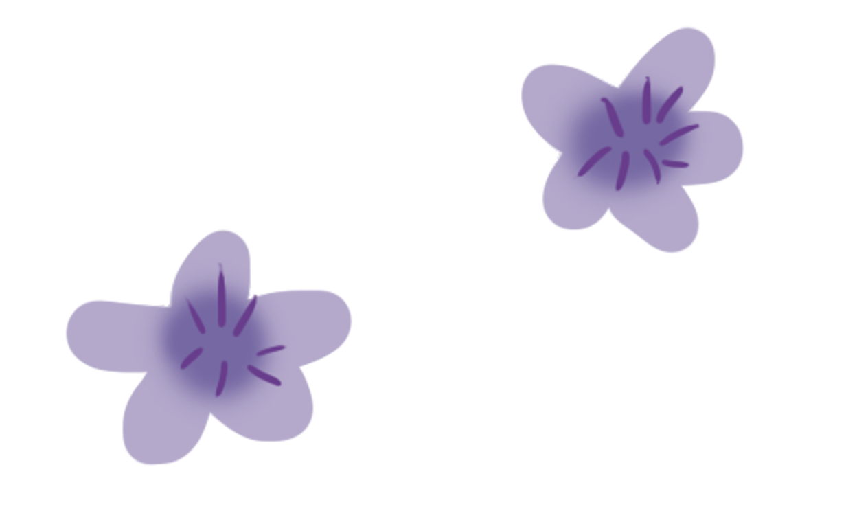 image_not_found
